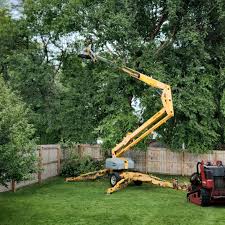 Artificial Turf Installation in St Ann, MO